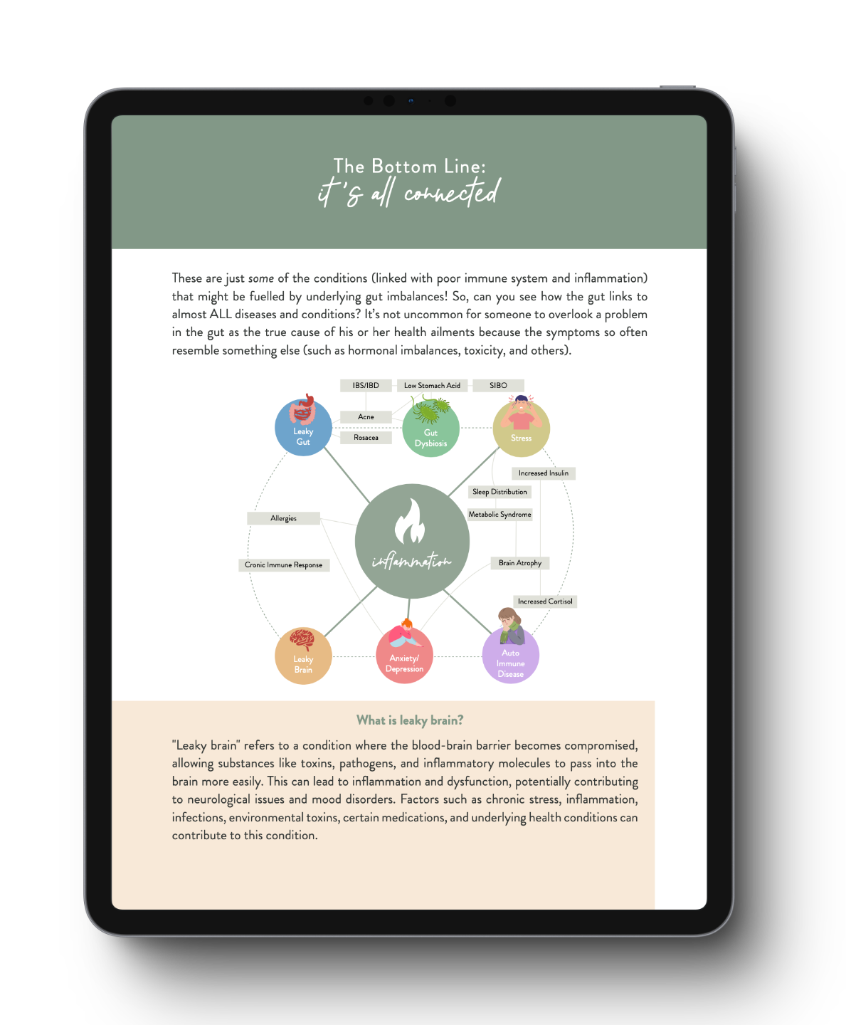 Your Holistic Guide to Gut Health - eBook