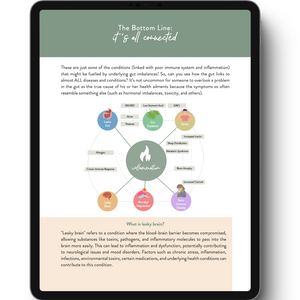 Your Holistic Guide to Gut Health - eBook